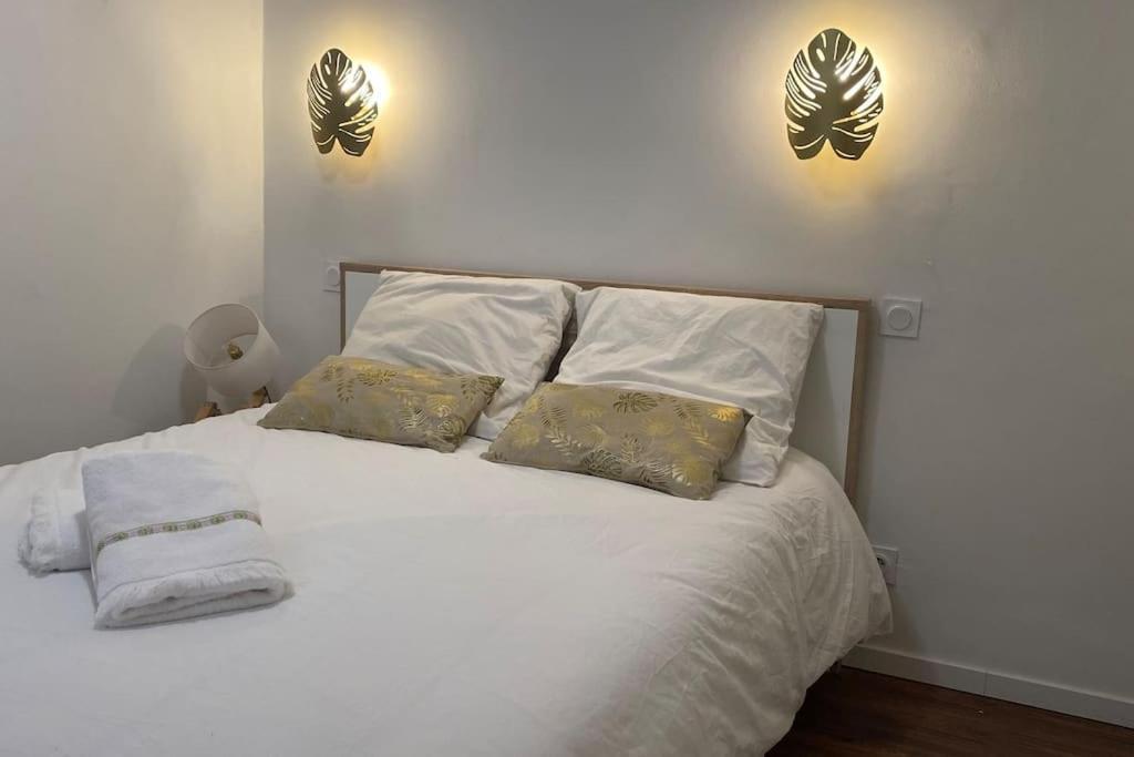 * Logement Haut De Gamme Centre * แปร์ปินญอง ภายนอก รูปภาพ
